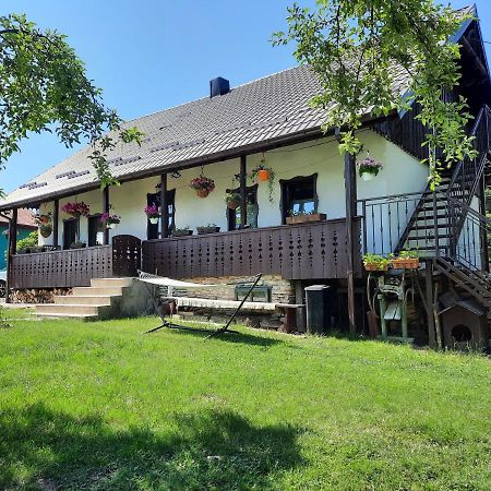 Casa Bunicilor Villa Ciprian Porumbescu Ngoại thất bức ảnh