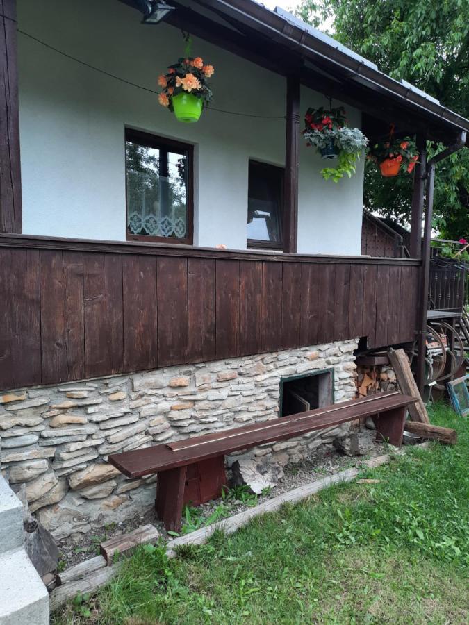 Casa Bunicilor Villa Ciprian Porumbescu Ngoại thất bức ảnh