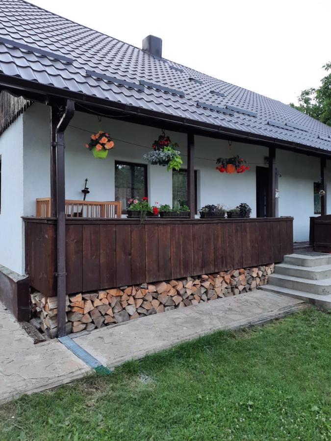 Casa Bunicilor Villa Ciprian Porumbescu Ngoại thất bức ảnh