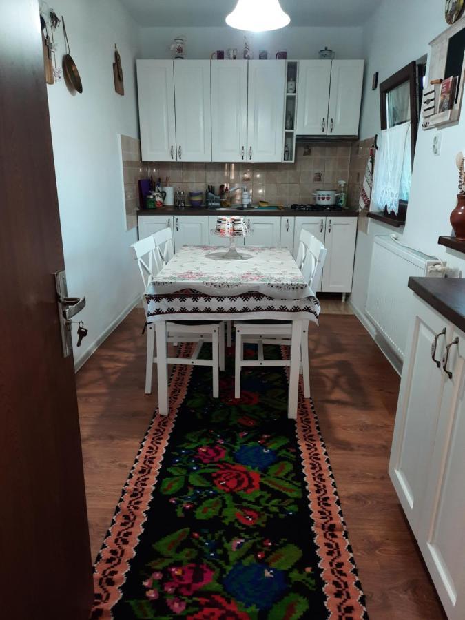 Casa Bunicilor Villa Ciprian Porumbescu Ngoại thất bức ảnh