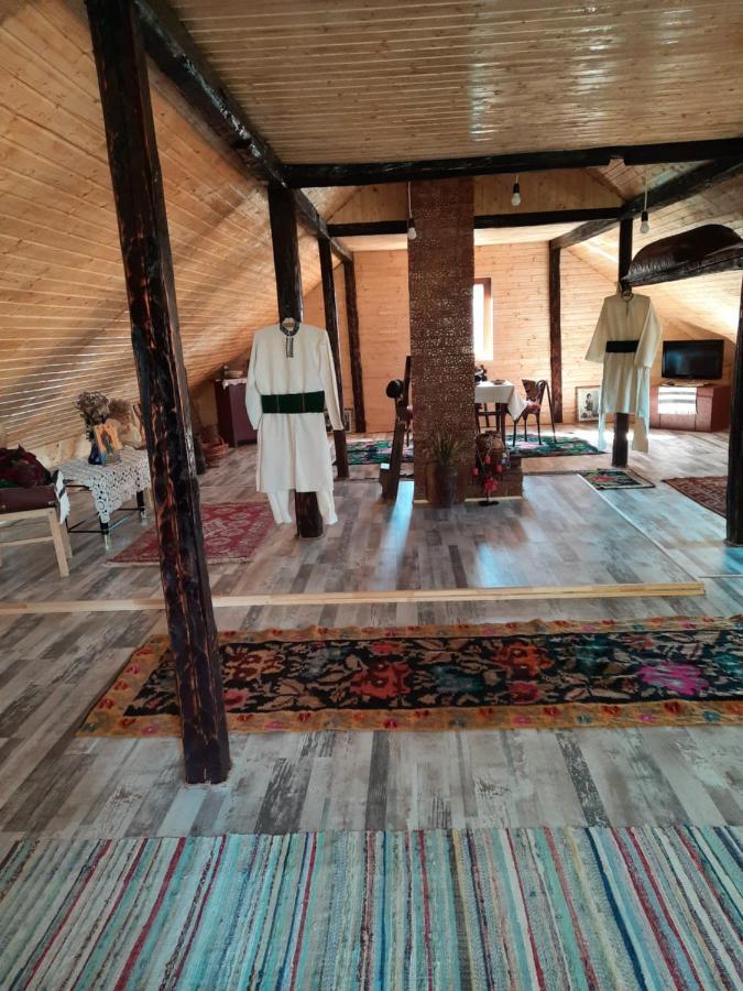 Casa Bunicilor Villa Ciprian Porumbescu Ngoại thất bức ảnh