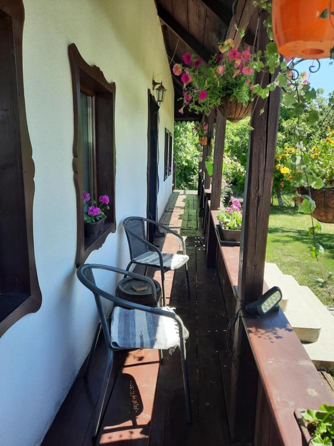 Casa Bunicilor Villa Ciprian Porumbescu Ngoại thất bức ảnh
