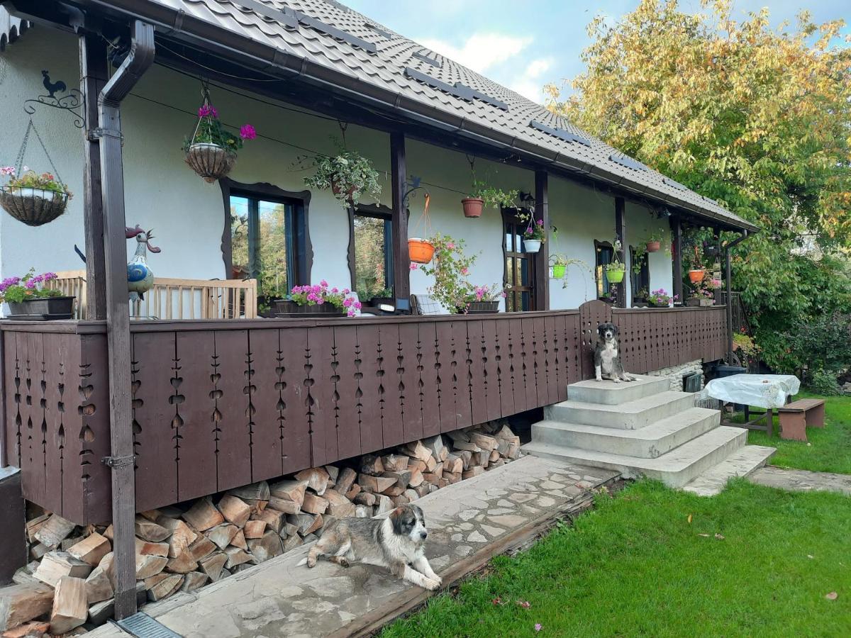 Casa Bunicilor Villa Ciprian Porumbescu Ngoại thất bức ảnh