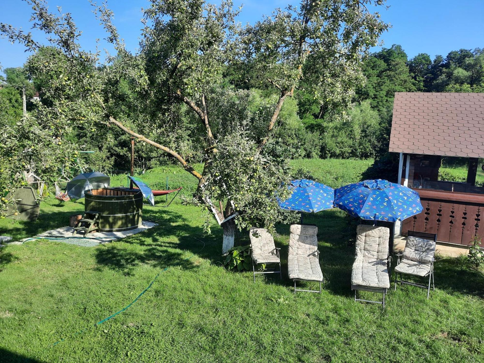 Casa Bunicilor Villa Ciprian Porumbescu Ngoại thất bức ảnh