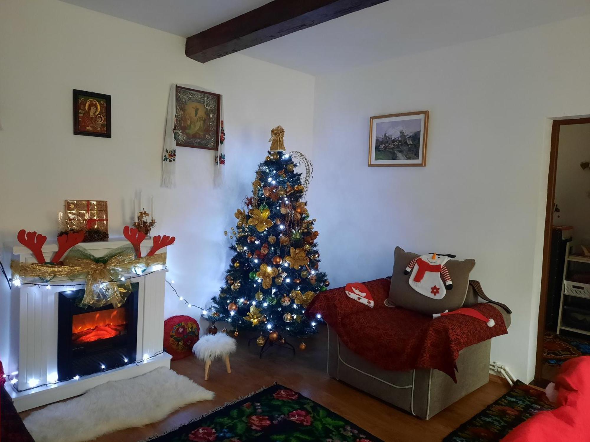 Casa Bunicilor Villa Ciprian Porumbescu Ngoại thất bức ảnh